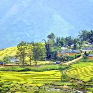 Tour Y Tý - Bắc Hà 3 ngày 2 đêm từ Hà Nội 