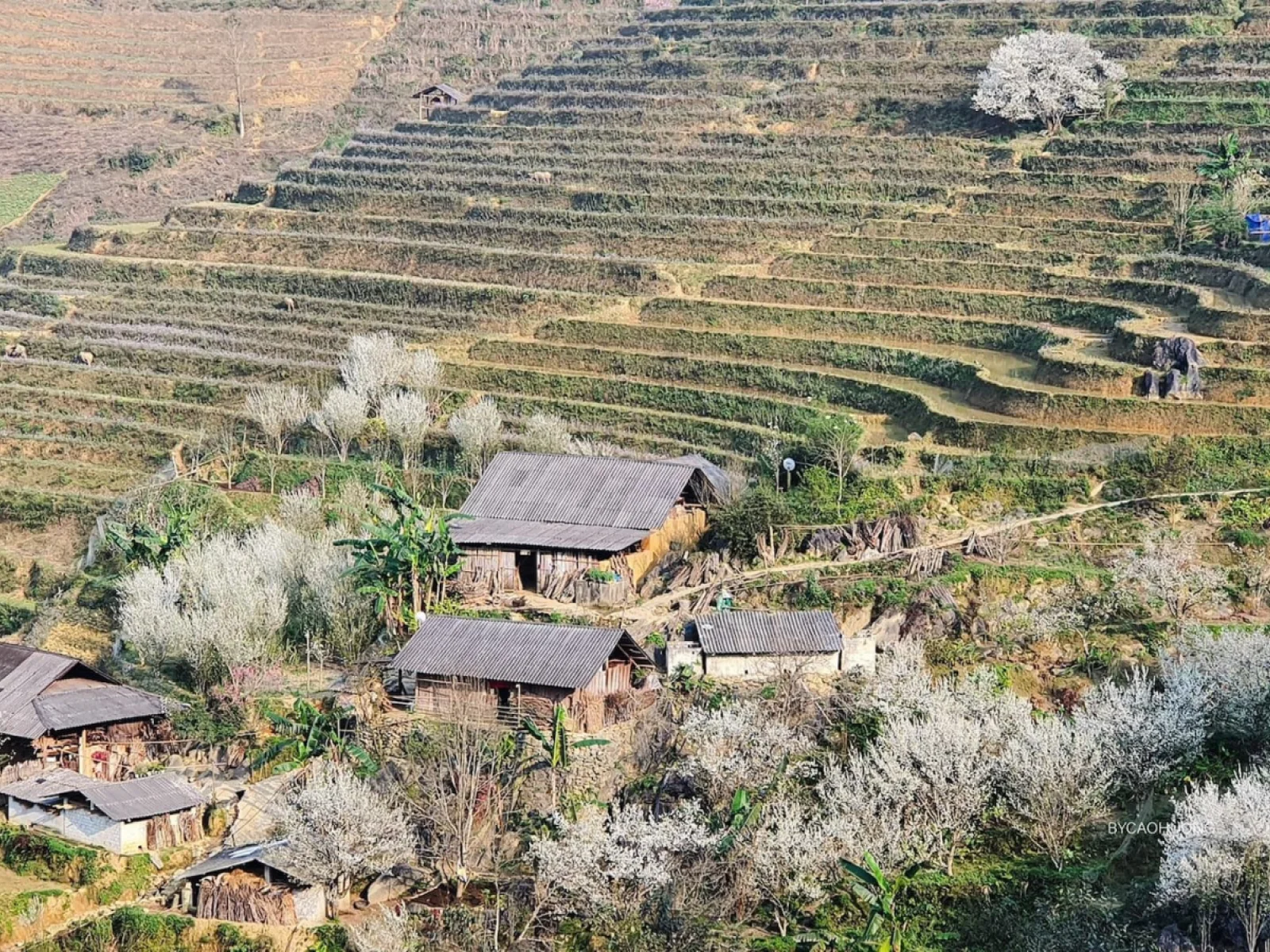 1742e29b748bc640b06219f35ae0eb39