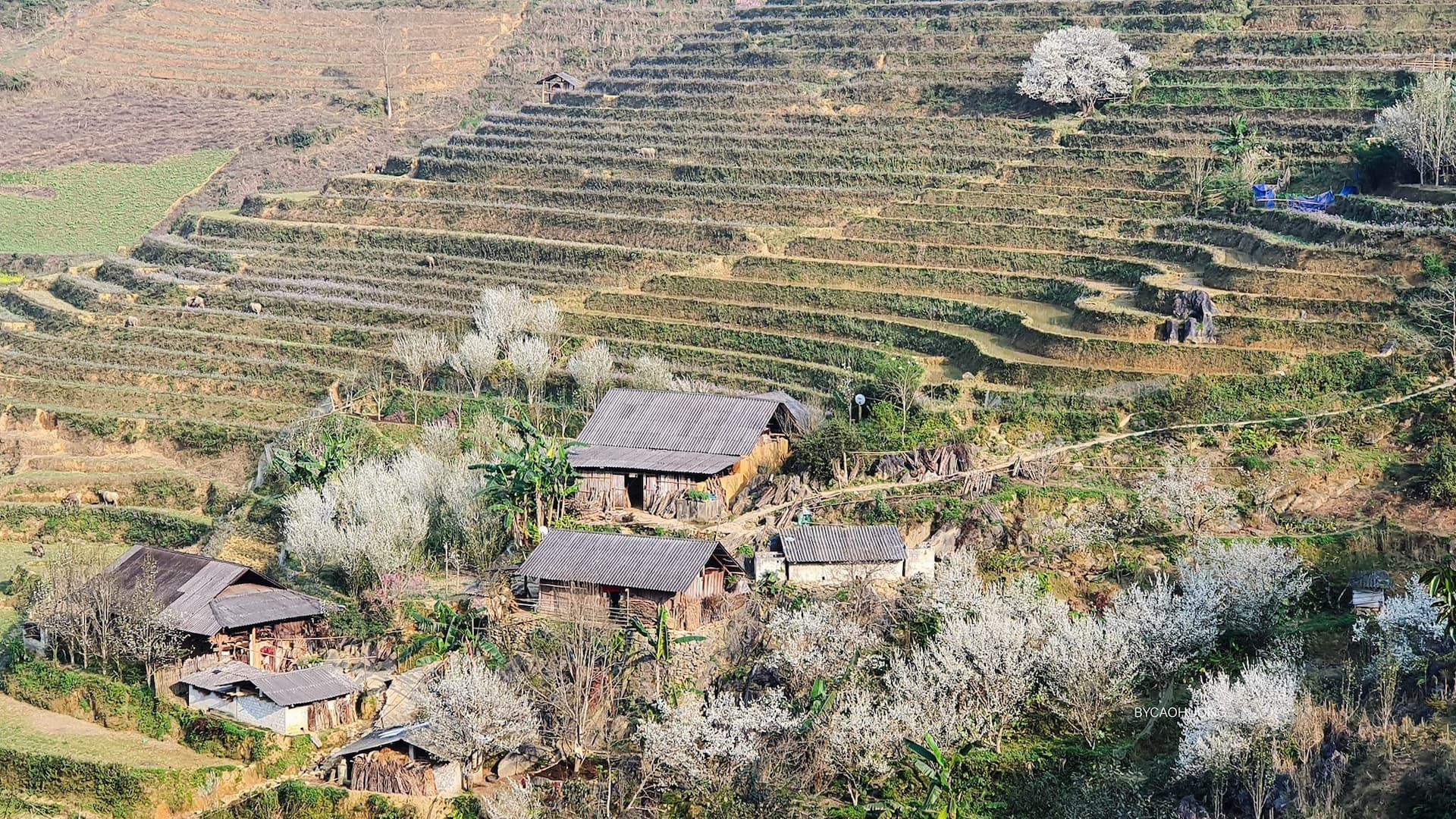 1742e29b748bc640b06219f35ae0eb39