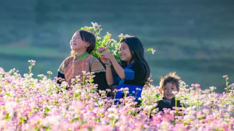 Du lịch hà giang mùa tam giác mạch cần chuẩn bị