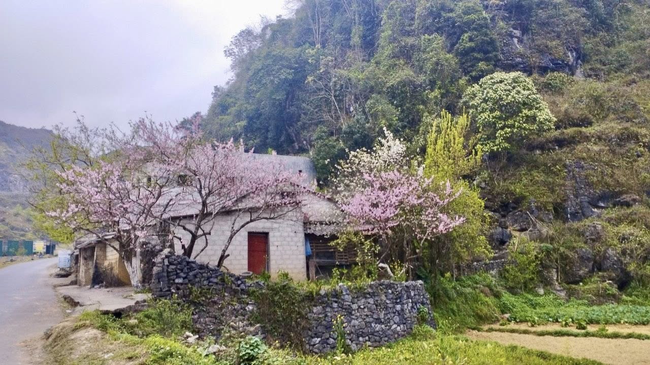Kinh nghiệm đi tour Hà Giang bằng xe máy: Hướng dẫn đầy đủ từ A–Z cho người mới