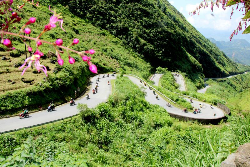 Lịch trình đi Hà Giang mùa hoa tam giác mạch chi tiết cho từng quỹ thời gian