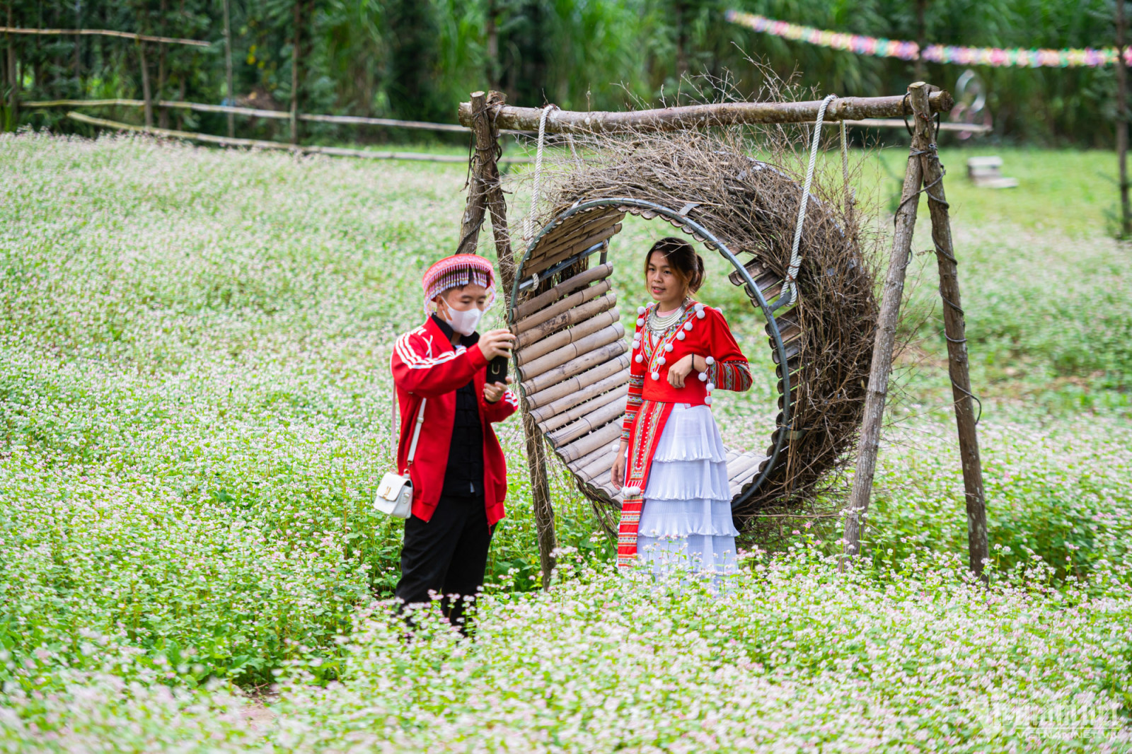 Cuối Tháng 10 Hay Tháng 11 Đi Hà Giang Ngắm Tam Giác Mạch Đẹp Hơn?