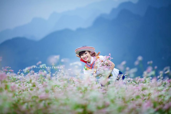 Lịch Trình Hà Giang Mùa Tam Giác Mạch 3 Ngày 2 Đêm Cho Người Đi Lần Đầu