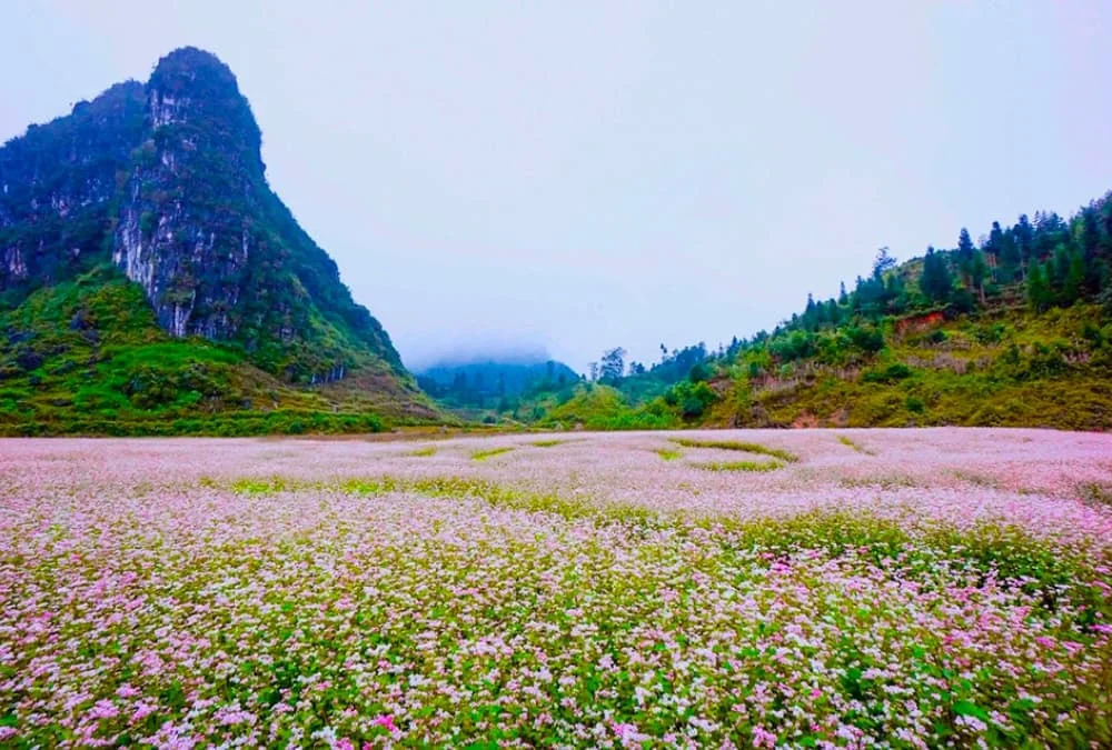 Nên Chuẩn Bị Bao Nhiêu Tiền Để Đi Tour Hà Giang Bằng Xe Máy