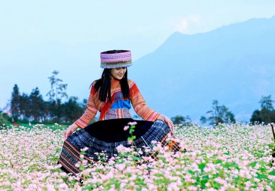 Mùa hoa tam giác mạch Hà Giang tháng mấy đẹp nhất