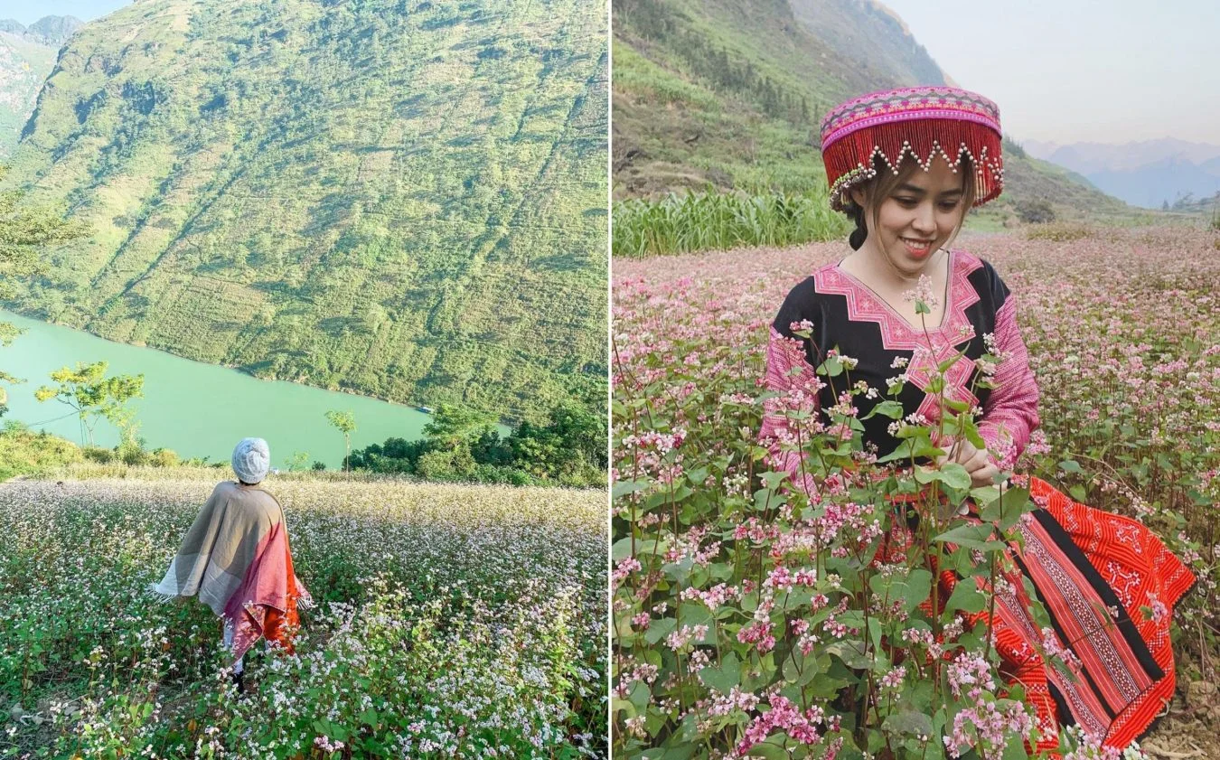 Tour Hà Giang mùa hoa tam giác mạch cho nhóm bạn với lịch trình linh hoạt và nhiều điểm check in