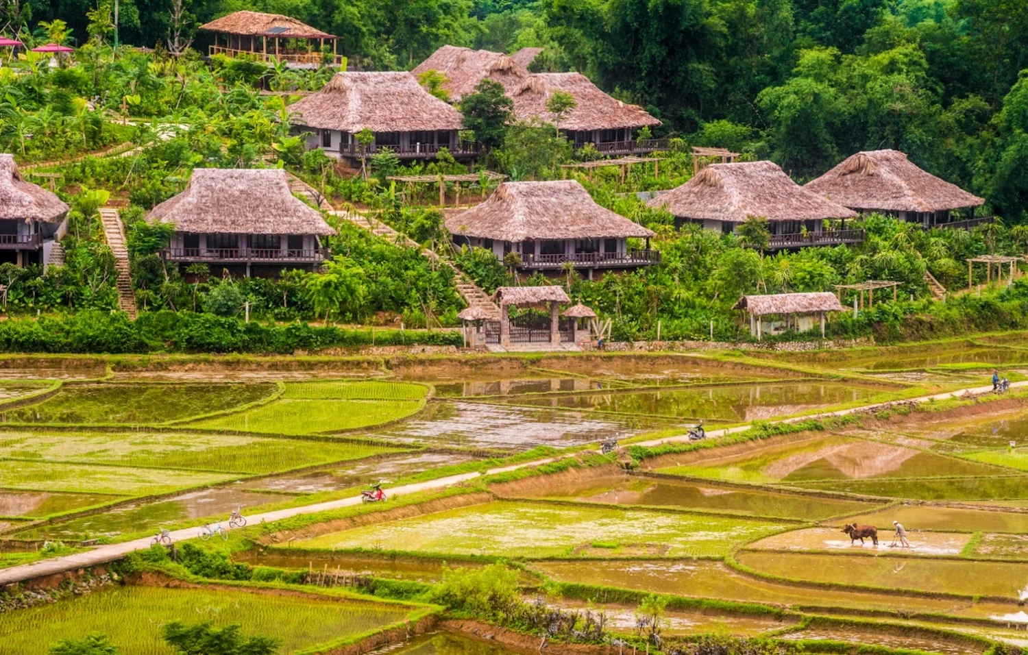 Bản Lác Mai Châu Hòa Bình